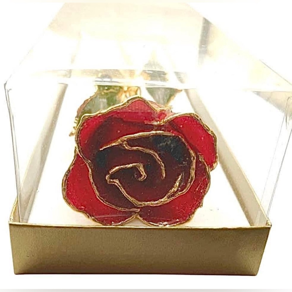 Nib Vintage Stock 24k Gold Dipped Real Red Long S… - image 5